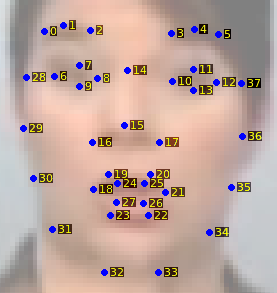 Face shape annotation example