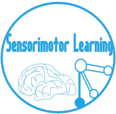 sensorimotor learning